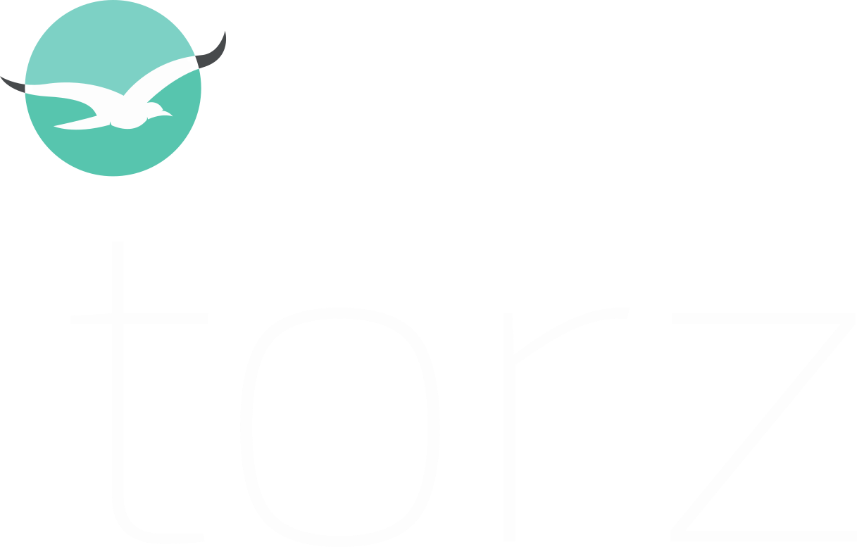 Logo Prof. Dr. Timo Torz